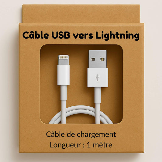 acheter un câble de chargeur iPhone USB vers lightning